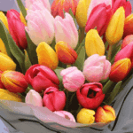 rainbow-tulip-mixed-bouquet (3)