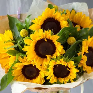 Sunflowers In a Vase | Juneflowers.com