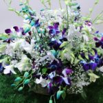 Stunning Orchid | Juneflowers.com