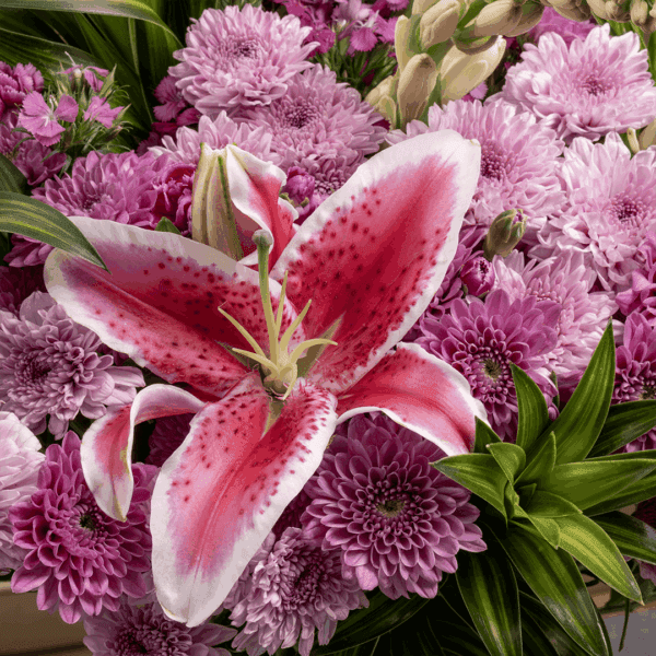 Flower subscription1