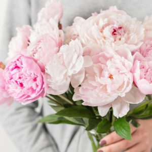 Peonies with Vase | Juneflowers.com