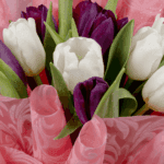 purple-white-tulip-bouquet (1)