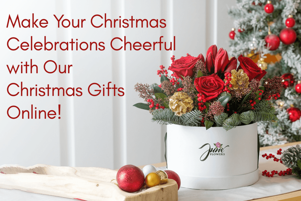 Make Your Christmas Celebrations | Christmas Gifts Online Bangalore | June Flowers