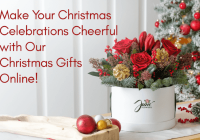 Make Your Christmas Celebrations | Christmas Gifts Online Bangalore | June Flowers