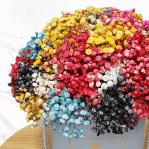 Rainbow Love - baby's breath flowers, Rainbow flowers | btf.in