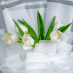 Single Tulip2