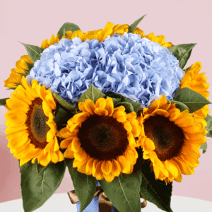 Cool Moment - Order Sunflower & Hydrangea | Juneflowers.com