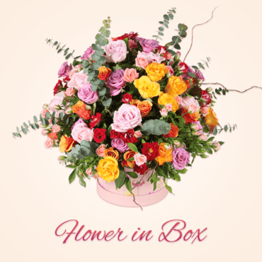 Flower in Box e1686139059434