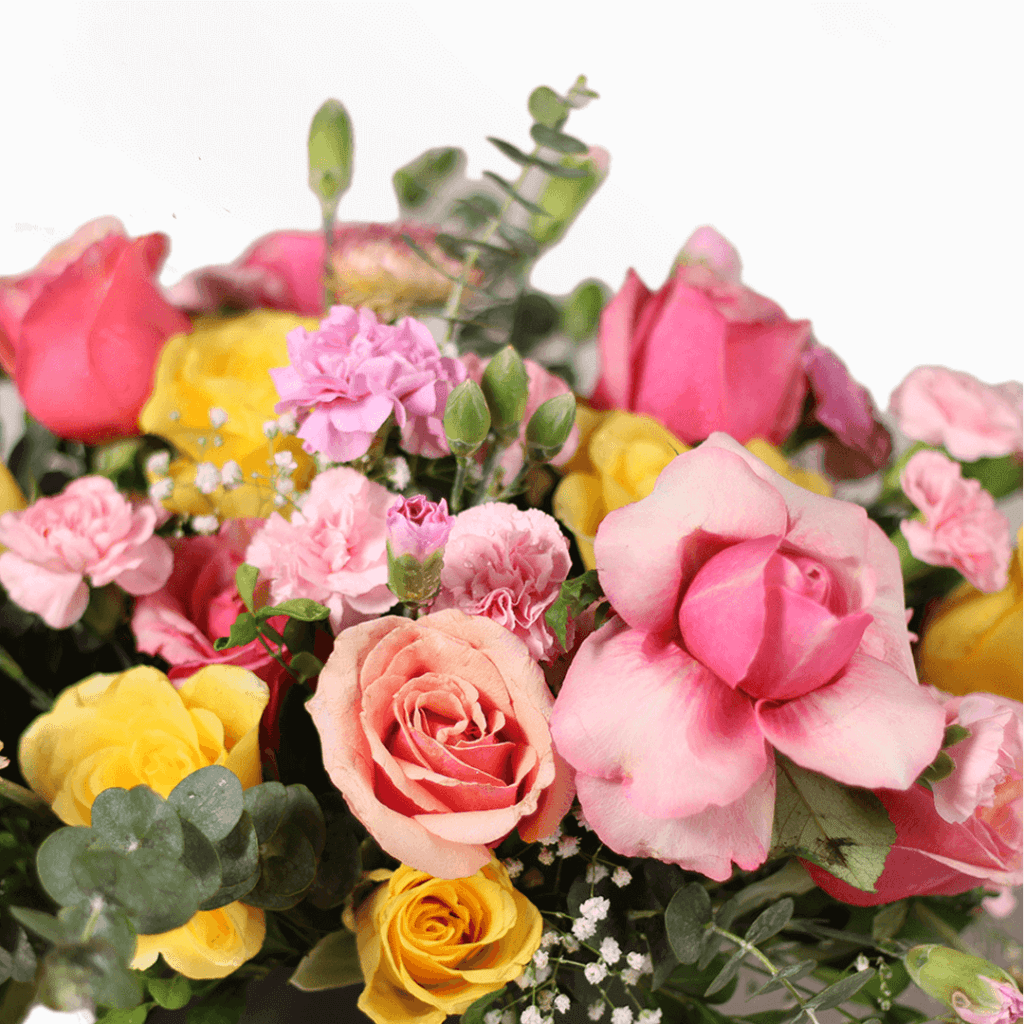Send/Buy Blooming Since, Order Flowers in box Juneflowers
