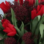 Tulip Kisses (1)