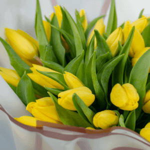 Flower Delivery to Bangalore | The Language of yellow tulips | order Now at june Flowers