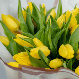 Flower Delivery to Bangalore | The Language of yellow tulips | order Now at June Flowers