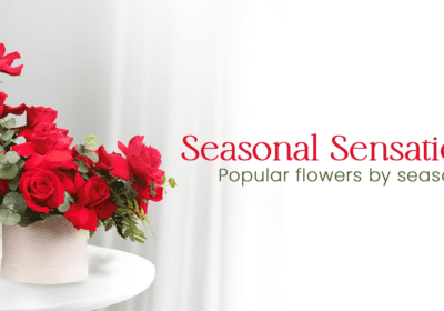 Send a Bouquet of Flowers in Bangalore | Seasonal Sensations: Top 5 Popular Flowers by Season in Bangalore with June Flowers