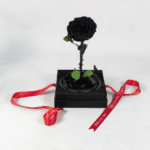 The Blood Moon- The Blood Moon- The Blood Moon- Preserved RThe Blood Moon- Black Preserved Rose