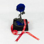 Bluebird's Melody - Preserved Rose