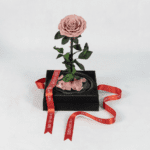 The Rose Eternal - Preserved Rose
