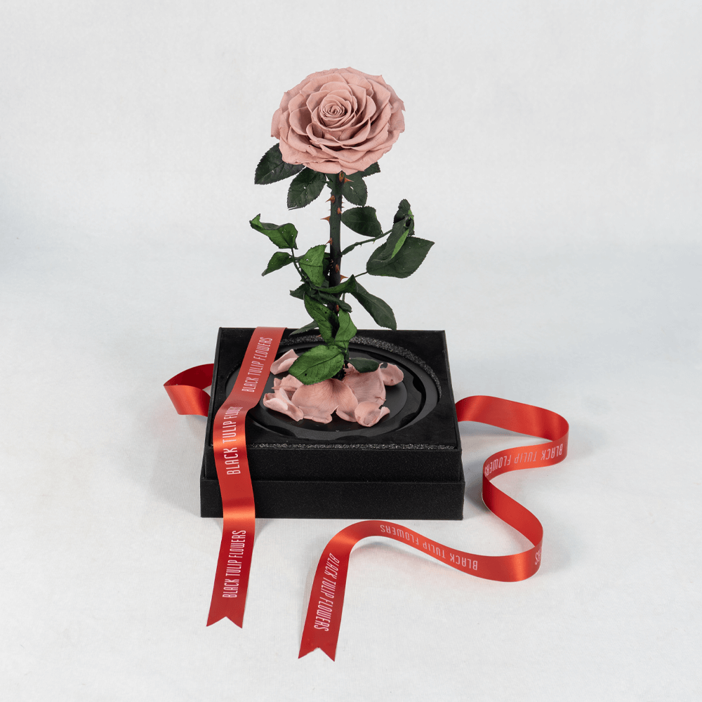 The Rose Eternal - Preserved Rose The Rose Eternal - Preserved Rose : Explore Preserved Roses in Bangalore | Order Now at June Flowers