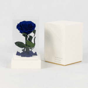 Bluebird's Melody - Preserved Rose : Explore Preserved Roses in Bangalore | Order Now at June Flowers