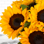 Summer's Promise