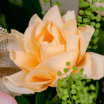 Cymbidium Glow (1)