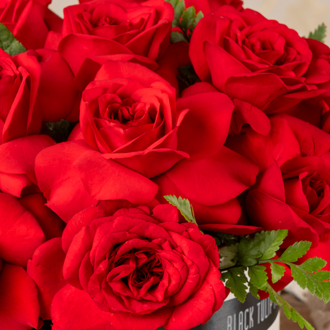 Love's Little Secret (4) Valentines Rose Gift Box | Love's Little Secret | Juneflower.com