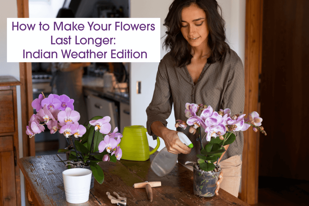 How to Keep Bouquet Flowers Fresh: Expert Tips for Long-Lasting Beauty | Black Tulip Flowers