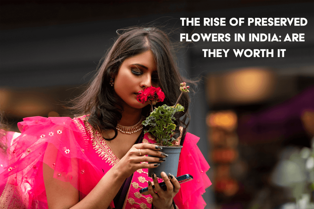 Flowers in India – Why Preserved Flowers Are Revolutionizing the Floral Industry at BTFI