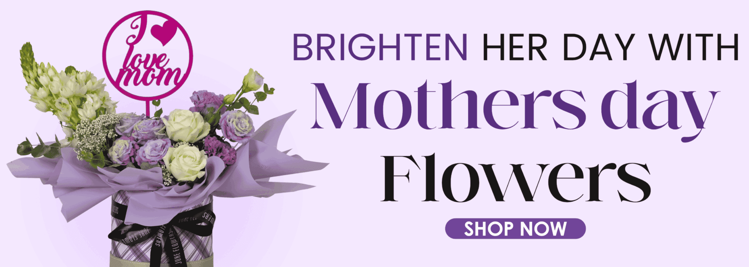 Mothers Day Banner 2025