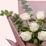 Classic 5 white2