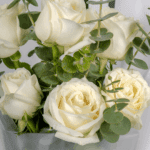 Classic White Romance2