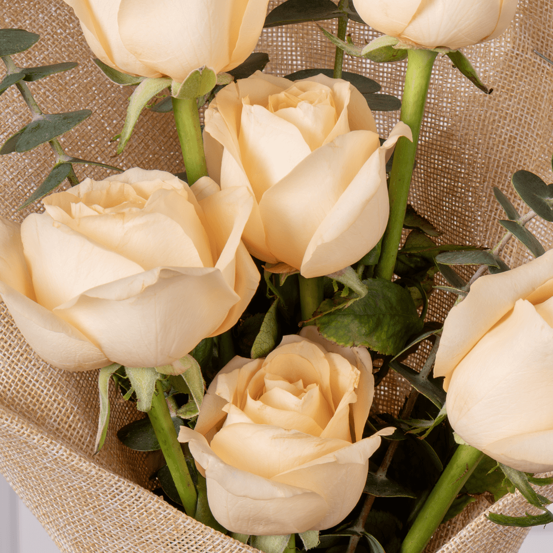 Creamy 6 peach rose2 6 peach rose bouquet