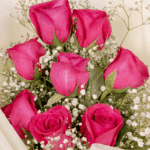 ink Radiance Roses with Gypso Flair 2