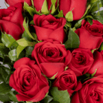 Passionate Elegance - 12 Red Roses Bouquet (1)