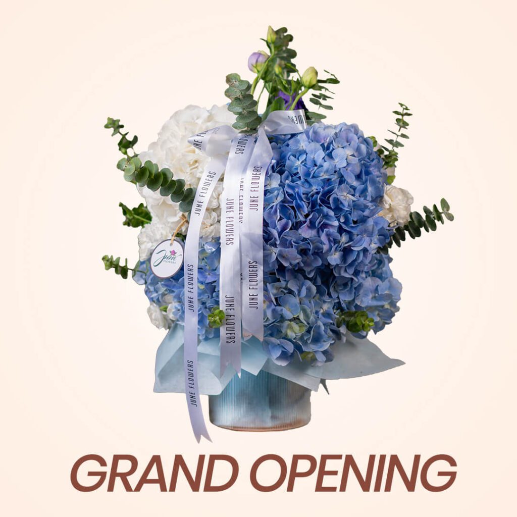 Blue Hydrangeas Arrangement in vase for grand opening wish gesture