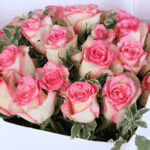 blush-pink-roses-valentine-bouquet (5)