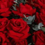 bold-love-red-roses-bouquet (4)