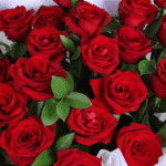 miss-you-red-roses-valentines-bouquet (5)