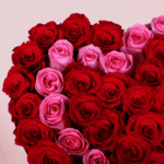 red-pink-roses-valentines-heart-box (4)