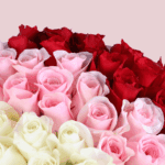red-pink-white-roses-valentine-bouquet (2)