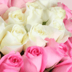 red-pink-white-roses-valentine-bouquet (5)