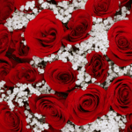 red-roses-valentine-promise-bouquet-red-wrap (4)