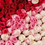 romantic-rose-heart-wooden-base (4)