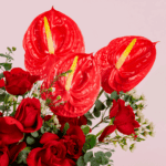 valentine-red-roses-anthurium-basket (3)