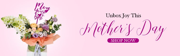 Side banner 1 1